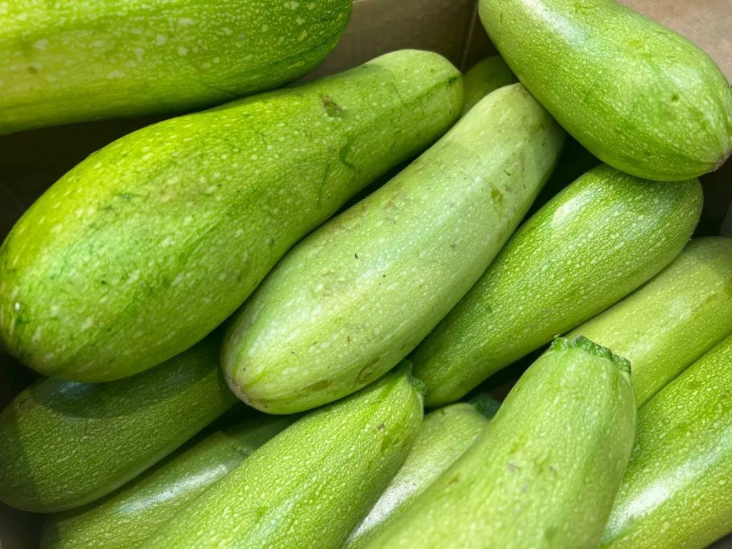 ������� ��� ���: ��� ������� ������ �������� �������� � �������������� ����� ����