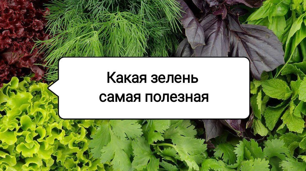 ������ � ����� �������