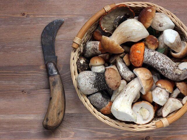 ����� ������ � ����� �������