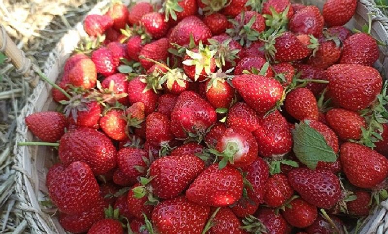 �������� �� ����: ��� ��������� ������ ���� ��� ����� � ���������