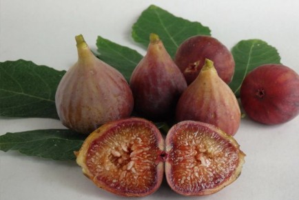 ������ ����� �������� ��� ��������� ������ ������ � ��� ������� ��� ����� ������ ����