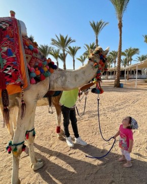 �������� �� ������: ��� ������ �������� � ��� ��� ����� ��������