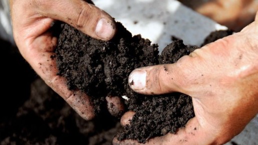 �������� ������ �����: ��� ����������� ��������� ����� ����������� ��� ������