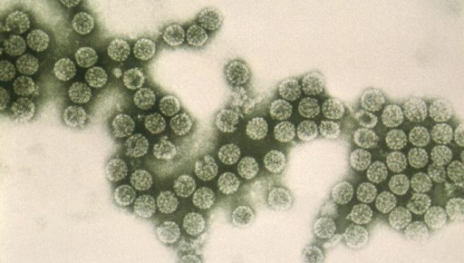 ���� ��� �������: ������ �� �������������� ����������� � �����