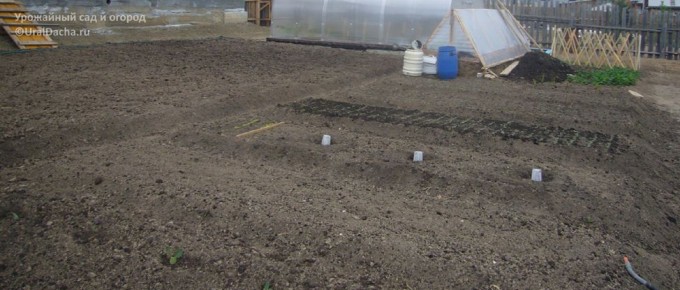 ����� ������������ ������ ��������� ��������: ������ ���� � ����� ����������