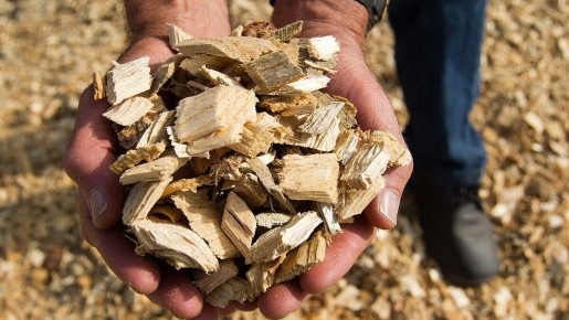 ������������ ��������� �����: ��� ��� �������� �����������