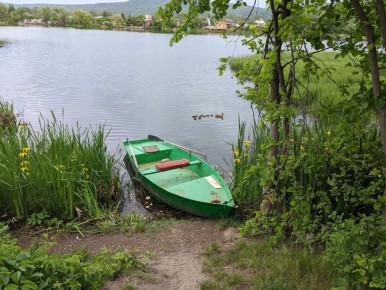 ������ ������: ����� ��������� ����� �� ������ �����