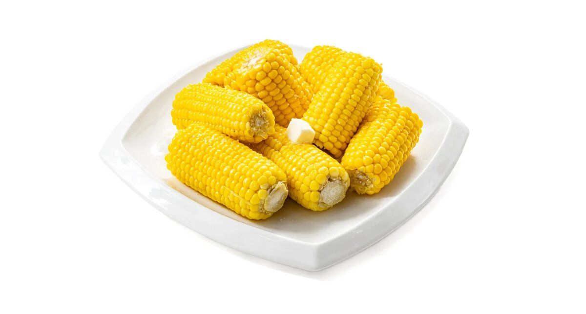 ������ �������� � ������: ��� ��������� ������ ����