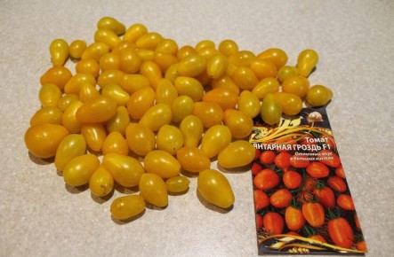 Сладкие томатики 'Янтарная гроздь': веснушчатые сокровища вашего огорода