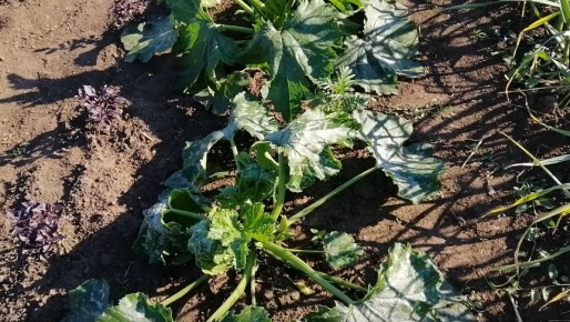 ����� ������ � ����������� ��������: ��� ������ ���� �� �������� ������