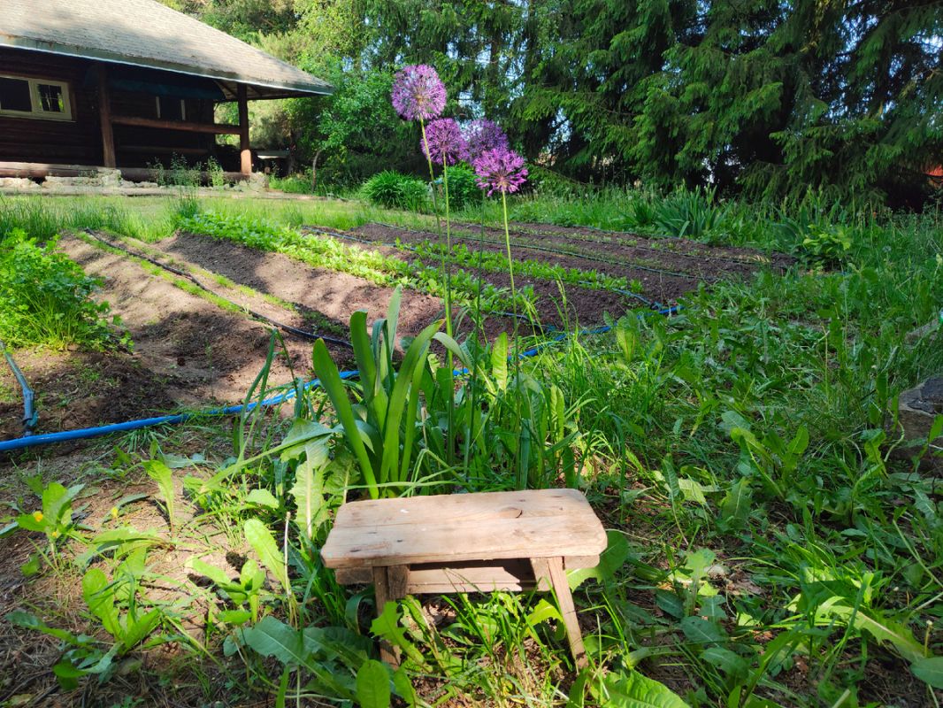 ������ ������������ � ������� ����� �� ��� ���