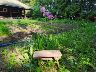Дачные воспоминания и вкусные блюда на три дня
