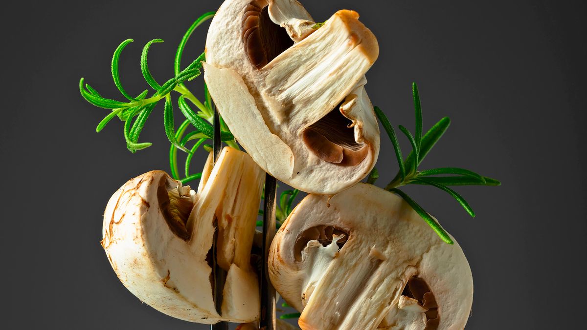 ��� ��������� ������� ����������, ����� ��������� �� ����