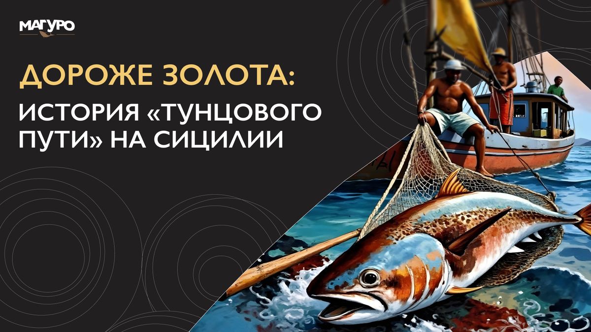 ��� ������ ������ ������� ����� ����������� �����������