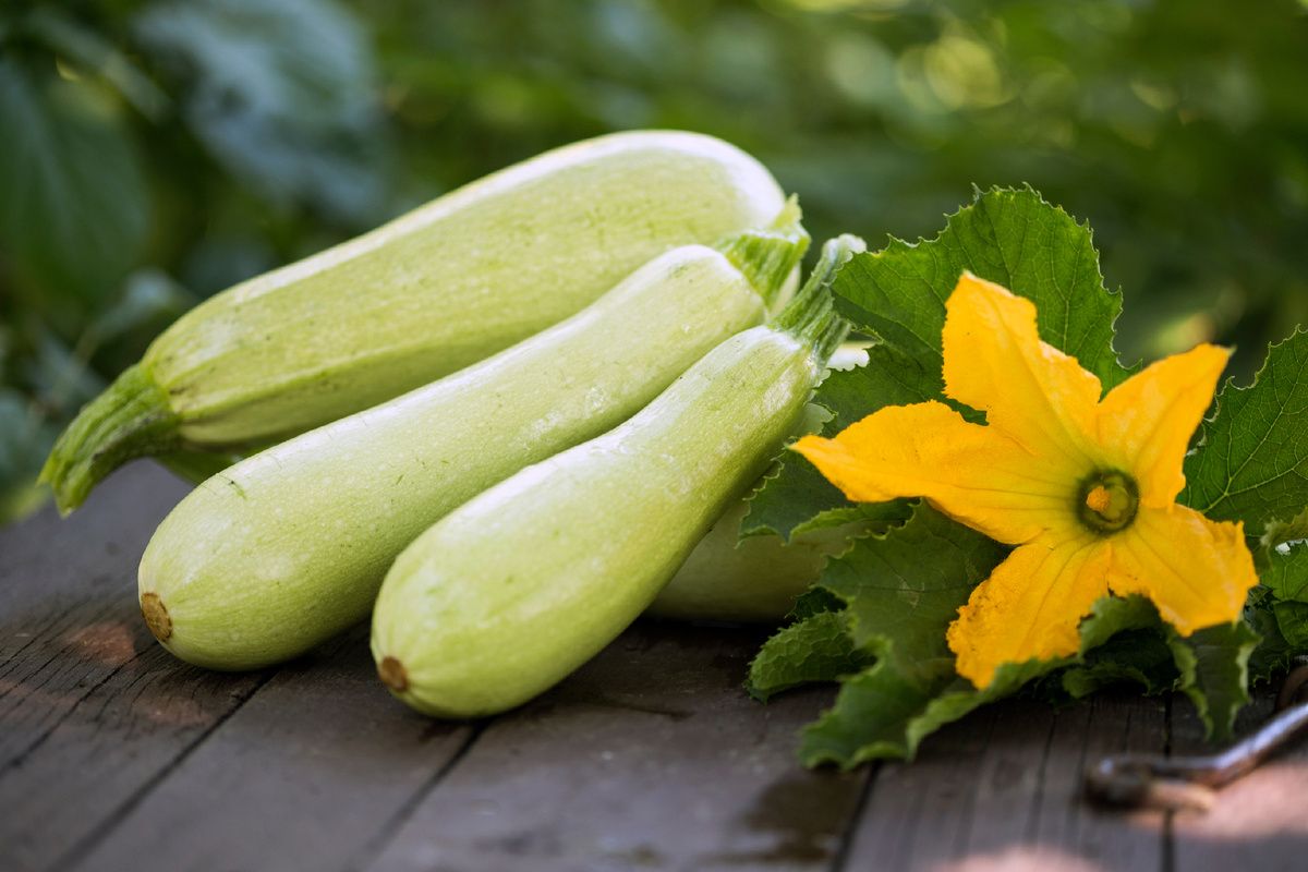 ���������� ������: �������� � ���� � ������ �����