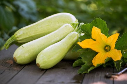 Кабачковые оладьи: легкость и вкус в каждом укусе