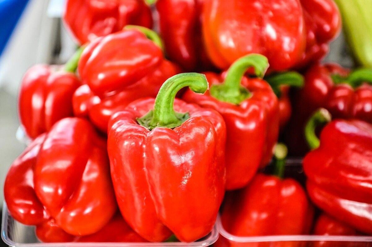 ���������� ����� ������ �� �������� ��������� ��� � ������