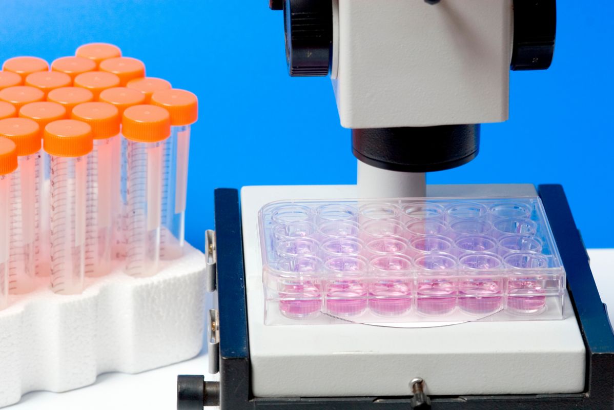 ��������� ������: �� ����� �� ������� ����������