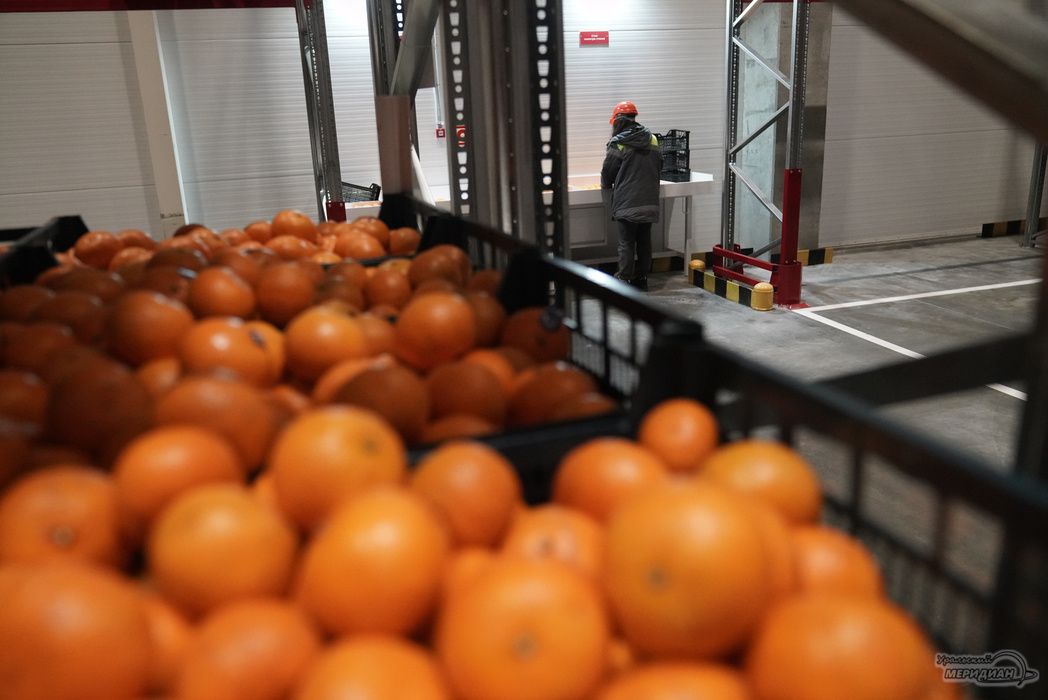 ��������� ����� � ������: ���� ���������� ������������� ����� � ���������� �����������