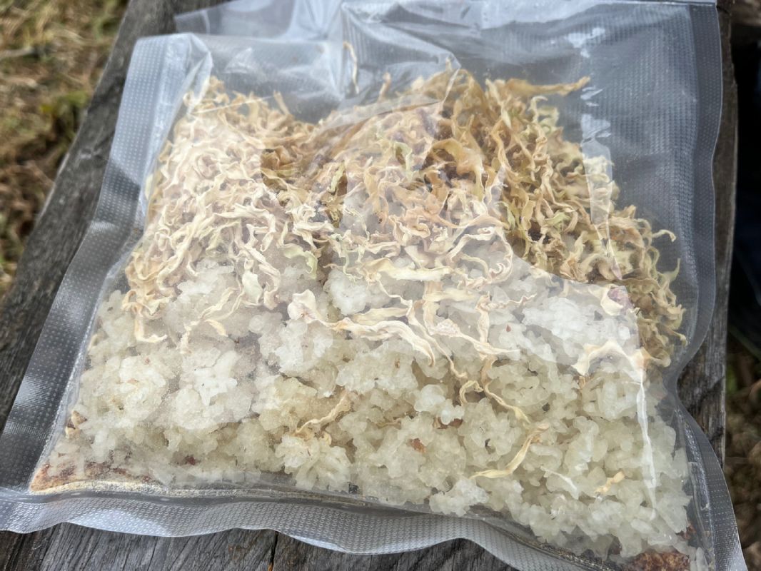 ������� �������: ��������� ������� ����� ��� �������