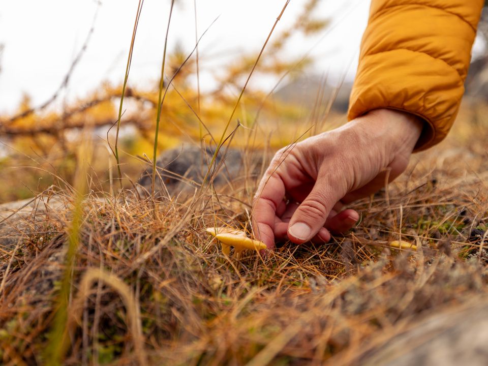 ������ ������� ������� ������� ����������� ��������� ������� �����