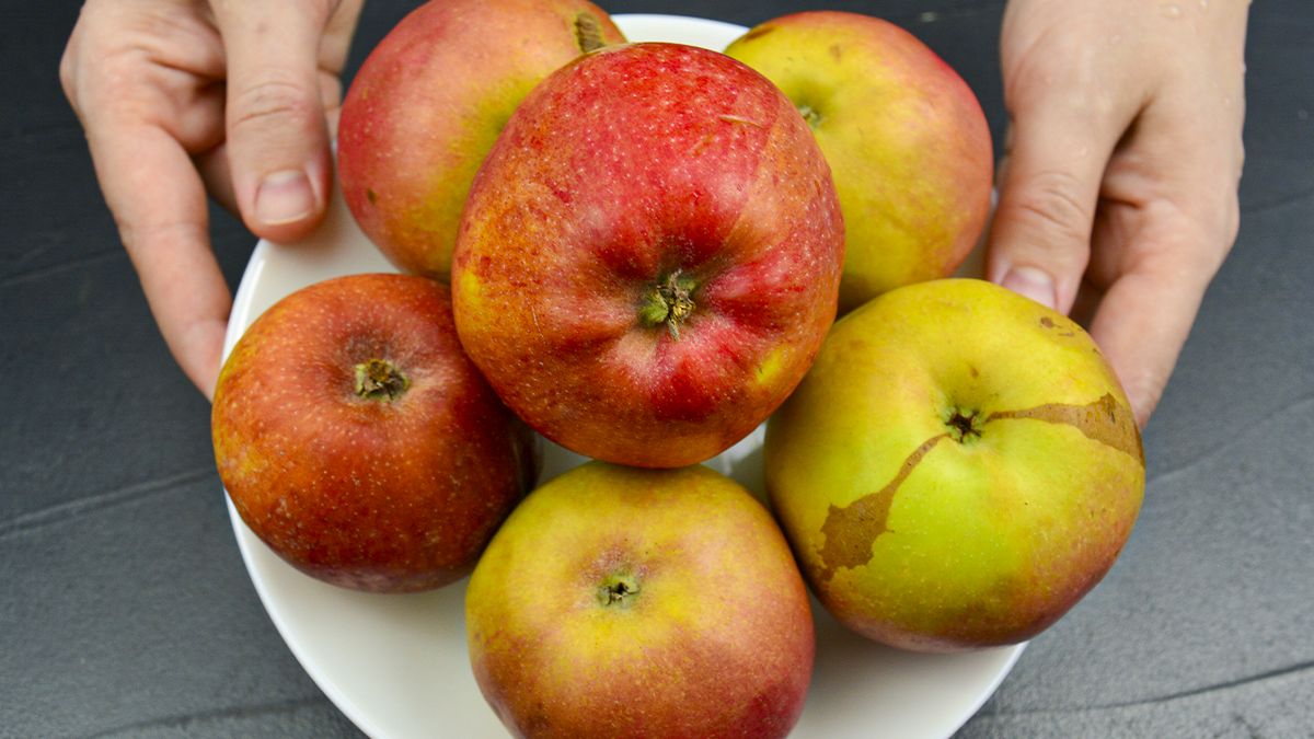 �������� ������, ������� ������� ��� �������� ��� ����� �� 10 �����