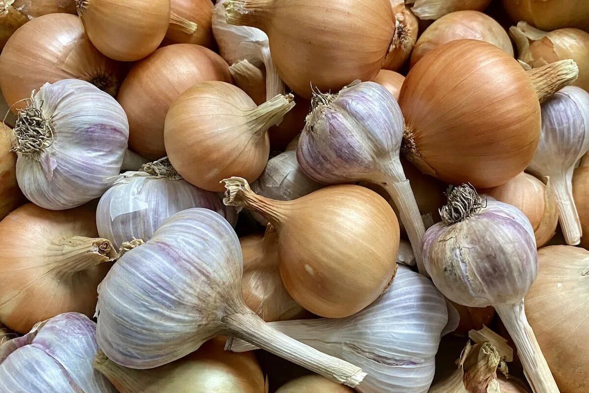 ���� ����������, ������� ��������� ��� ���������