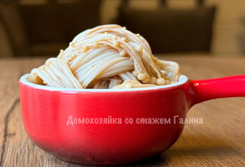 ����� �����: ��������� ���������� �����������