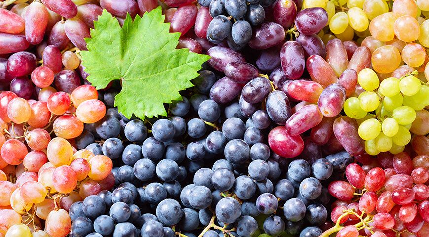 ������� ������: ������� ����� ����� ���������