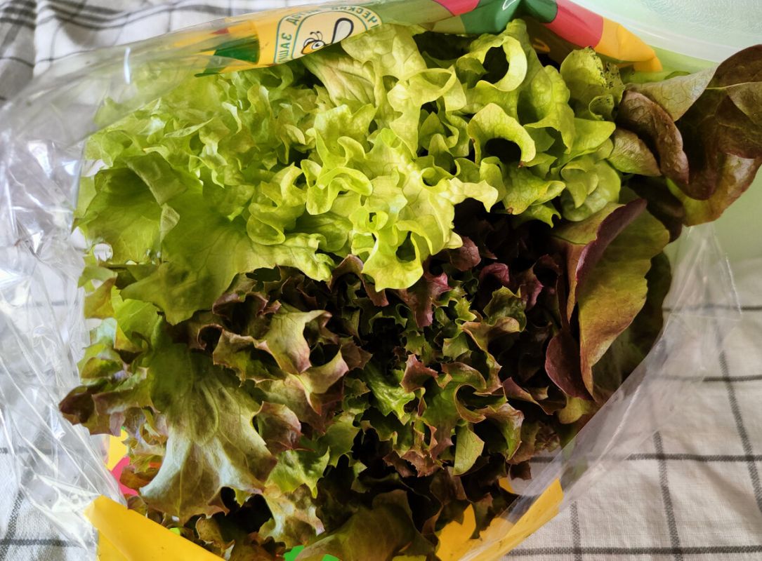 ��� ��������� ������ ������ �� ������ �����