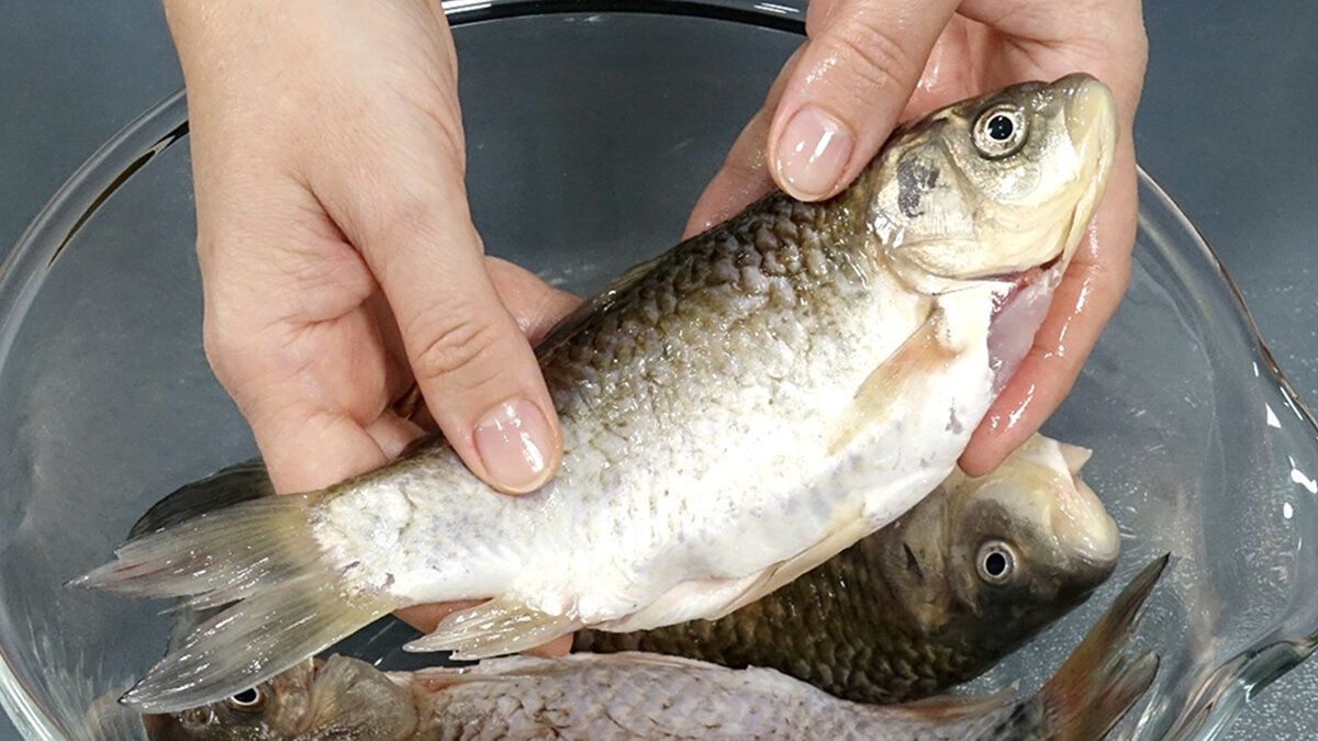 ��������� ���������� �����: ������ �� ����������� ����