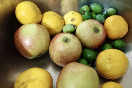 ��� ������� ��������� � ������� ����� �������� �������� ���