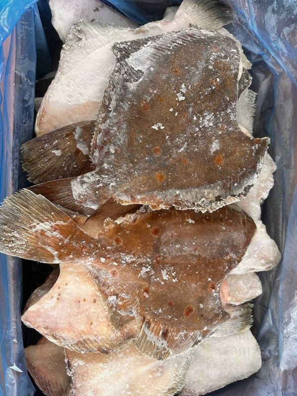 ���� �������� ������������ �������? ������ � �������� � ����