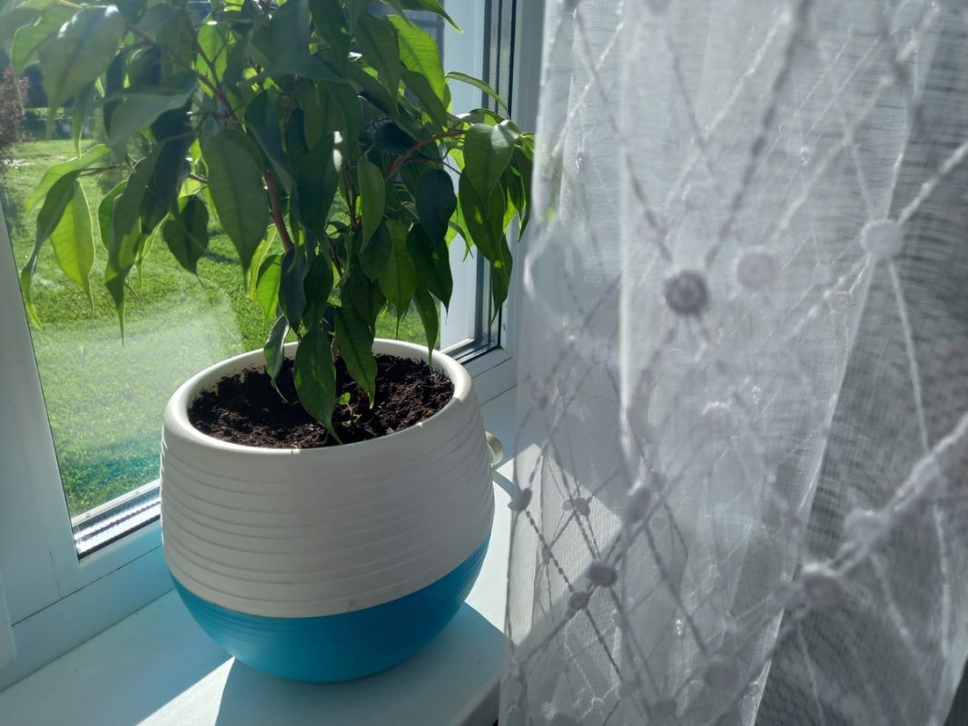 ��������� ������: ��� ����������� ����� ����� �������