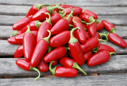 ������ ����� �� ����� �������: ��� ������� ������ ����� � ��������� ������