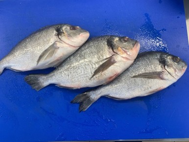 ��� ����������� ���� ������ �� ���� ������� ������� � ���