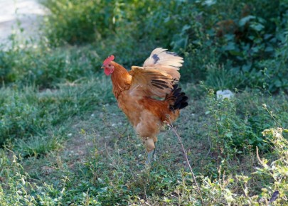 ������ ������ �� ������, �� �� ��� ����� �������