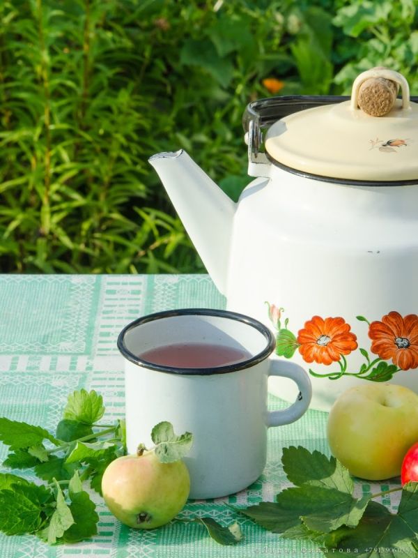 ��������� ������ ������: ���� � ������ �����