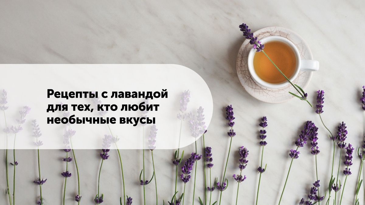 ������� � ���������: ������������ ������� ��� ������������� �� �����