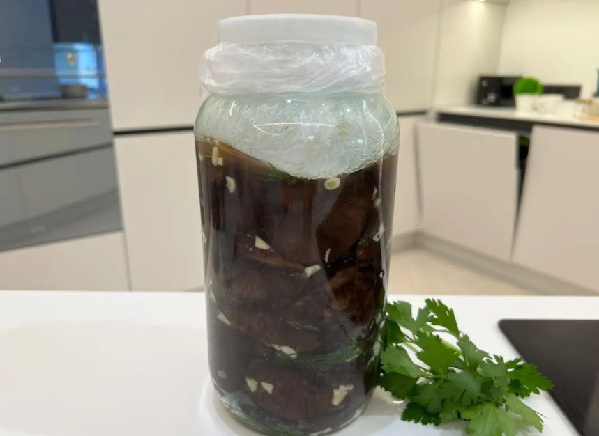 ��� �������� ���� �������� �������� ����� � ����������