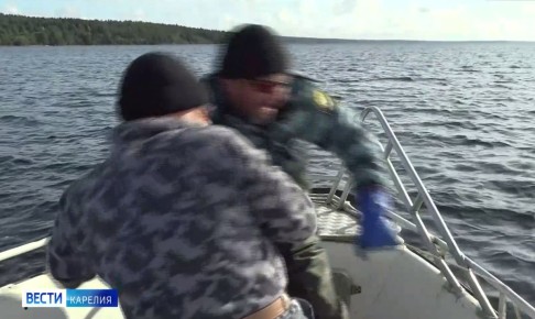 Необходимость комплексного подхода к сохранению онежского лосося: разъяснения и факты