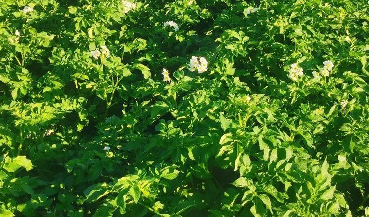 ����������� ��������� ����� ����� ����� ����� ������ �����������