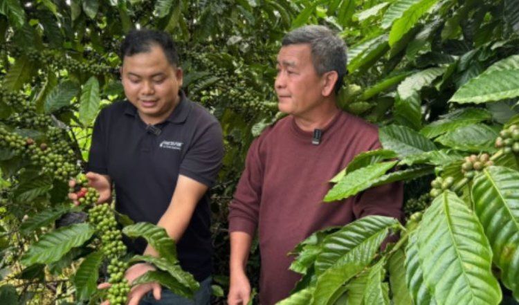 �������� ������� �������� �������� ��������� �� ��������� ������� � ������ ������������ ��������