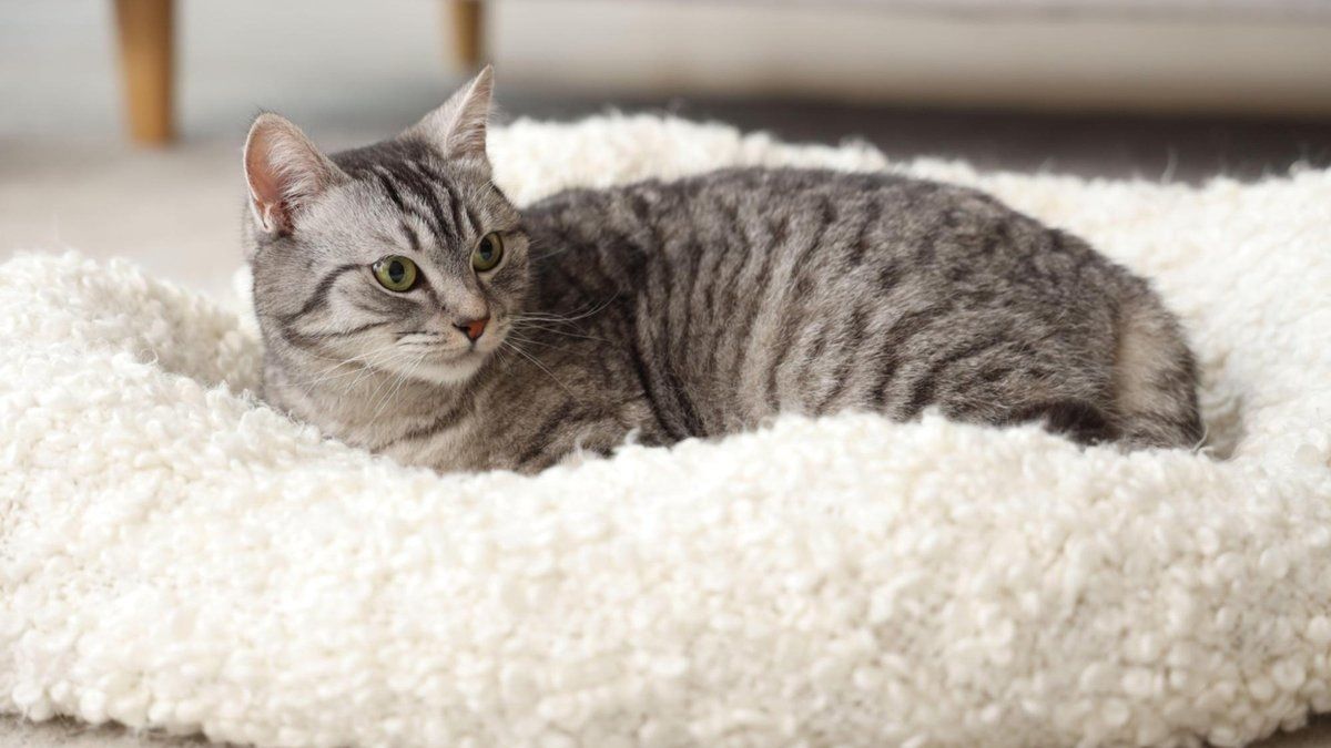 ������� � ������: ����� ������ �� ������������ ��������