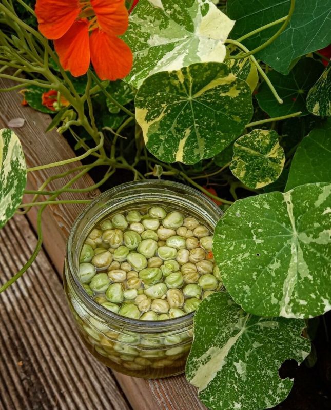 ��������� ��������� �����������: ������� ��-������