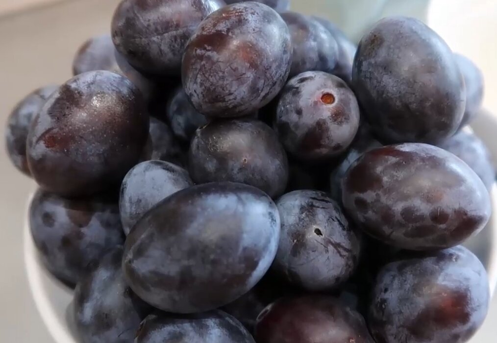 Как приготовить вкусный компот из сливы на зиму без стерилизации