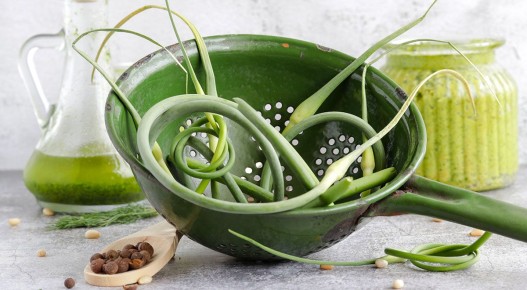 ��������� �������: ��� ���������� �� ���� � ��������� �������� ��������