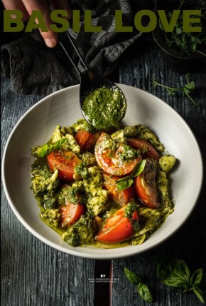 ���������� ���-����������: ������� ������ ������