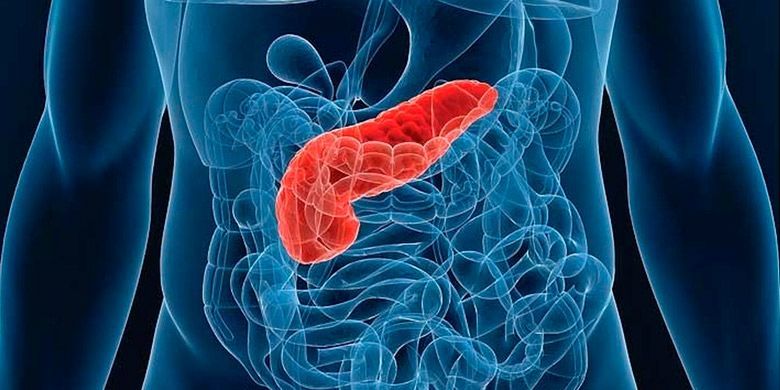 ������������� �� �����: ����� �������� ������� ������� ��������