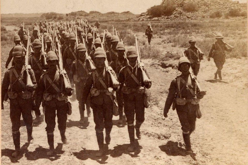 Виноделие Капской области: как война изменила традиции и спрос